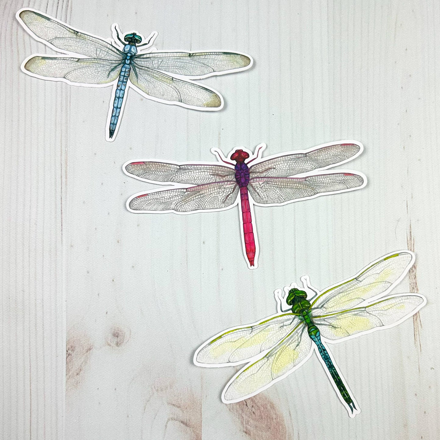 Blue Dasher Dragonfly Matte Vinyl Sticker