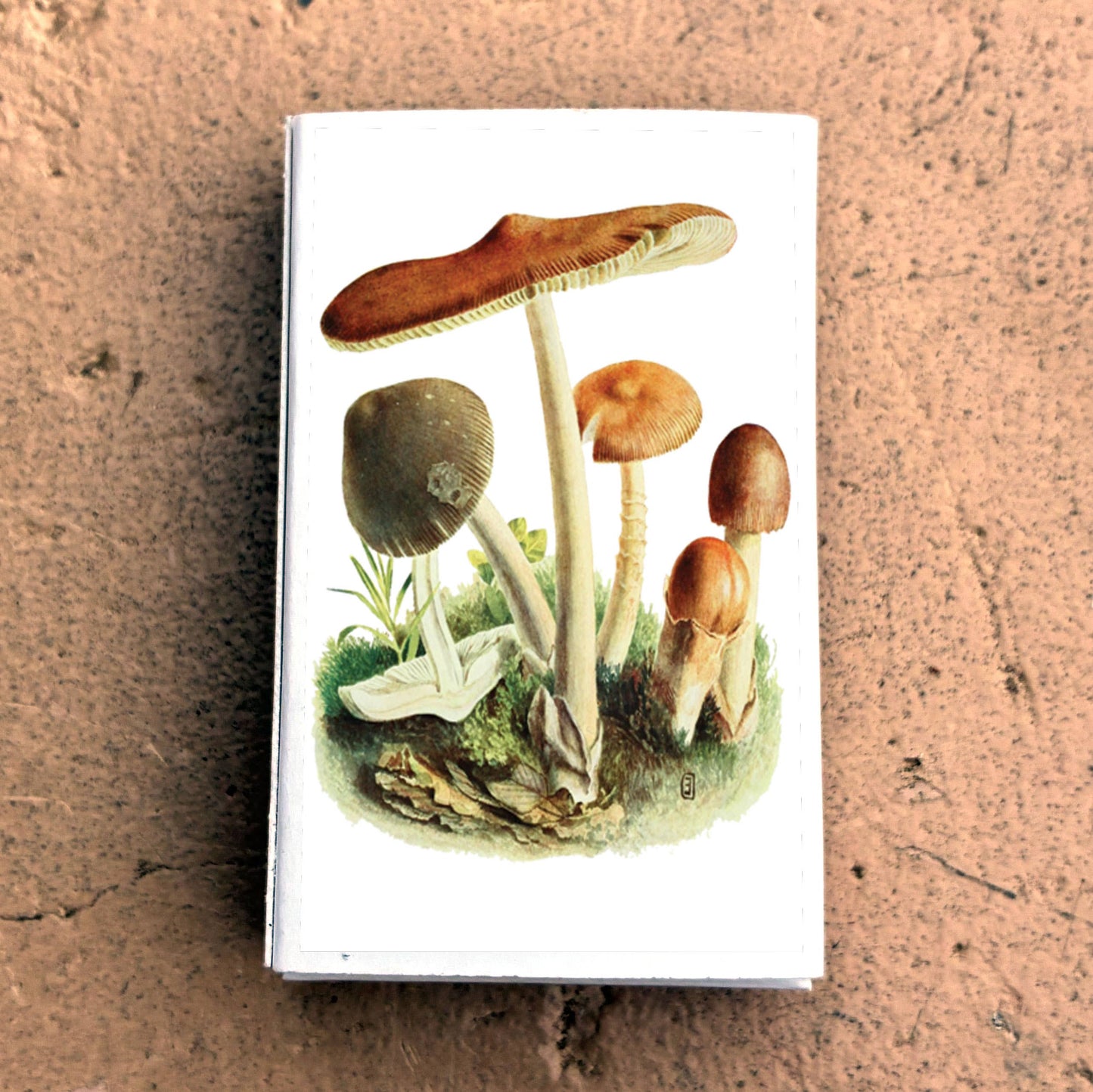 Matches • Tawny Mushroom • Home Decor for Candles & Incense