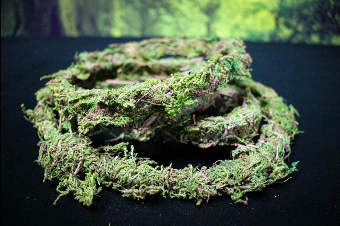 Moss Coil