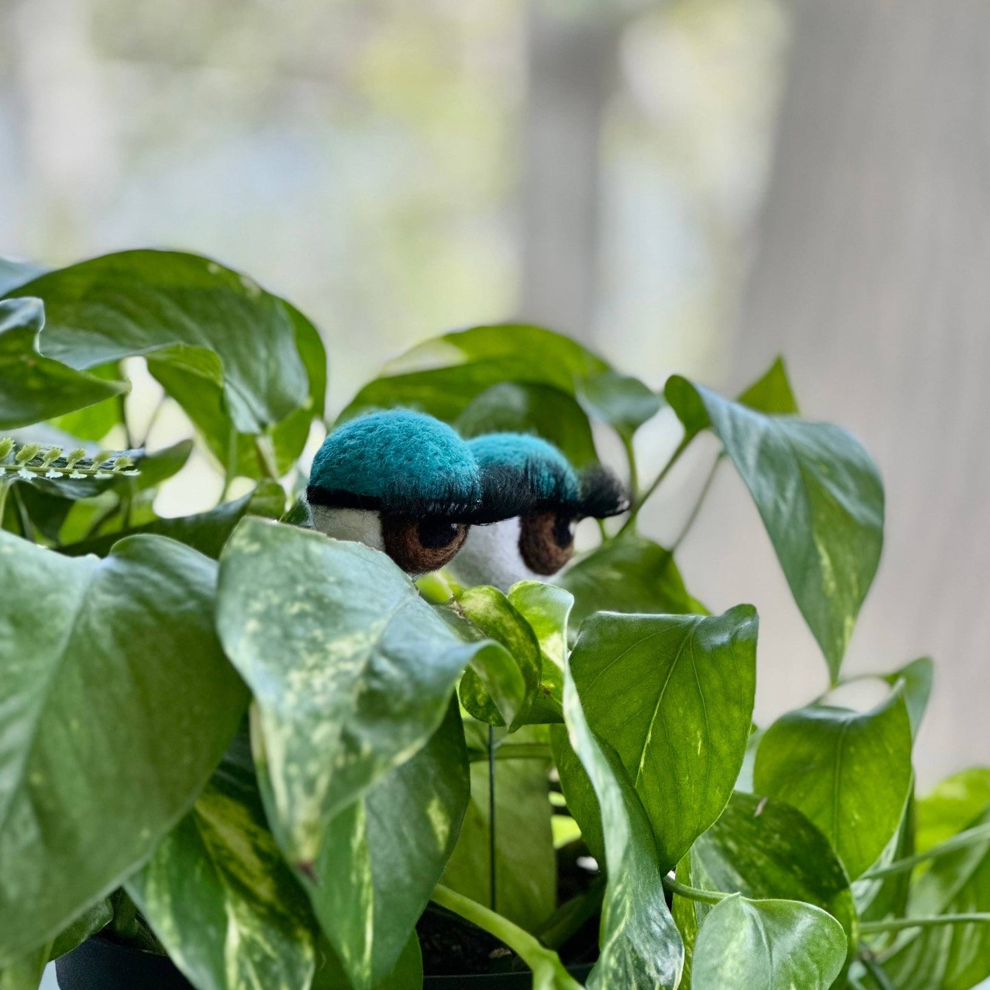 Felt Planter Eyeballs with Eyelashes