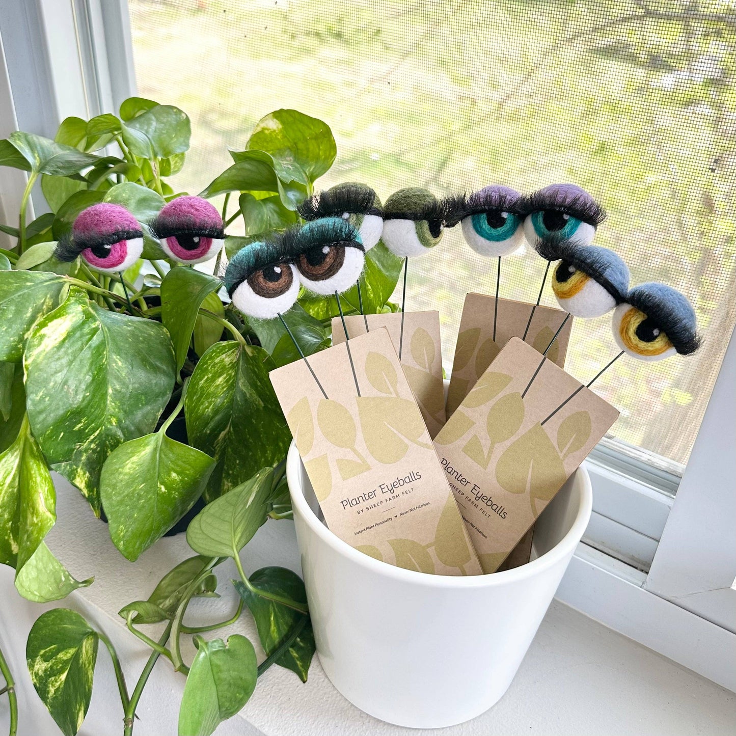 Felt Planter Eyeballs with Eyelashes 