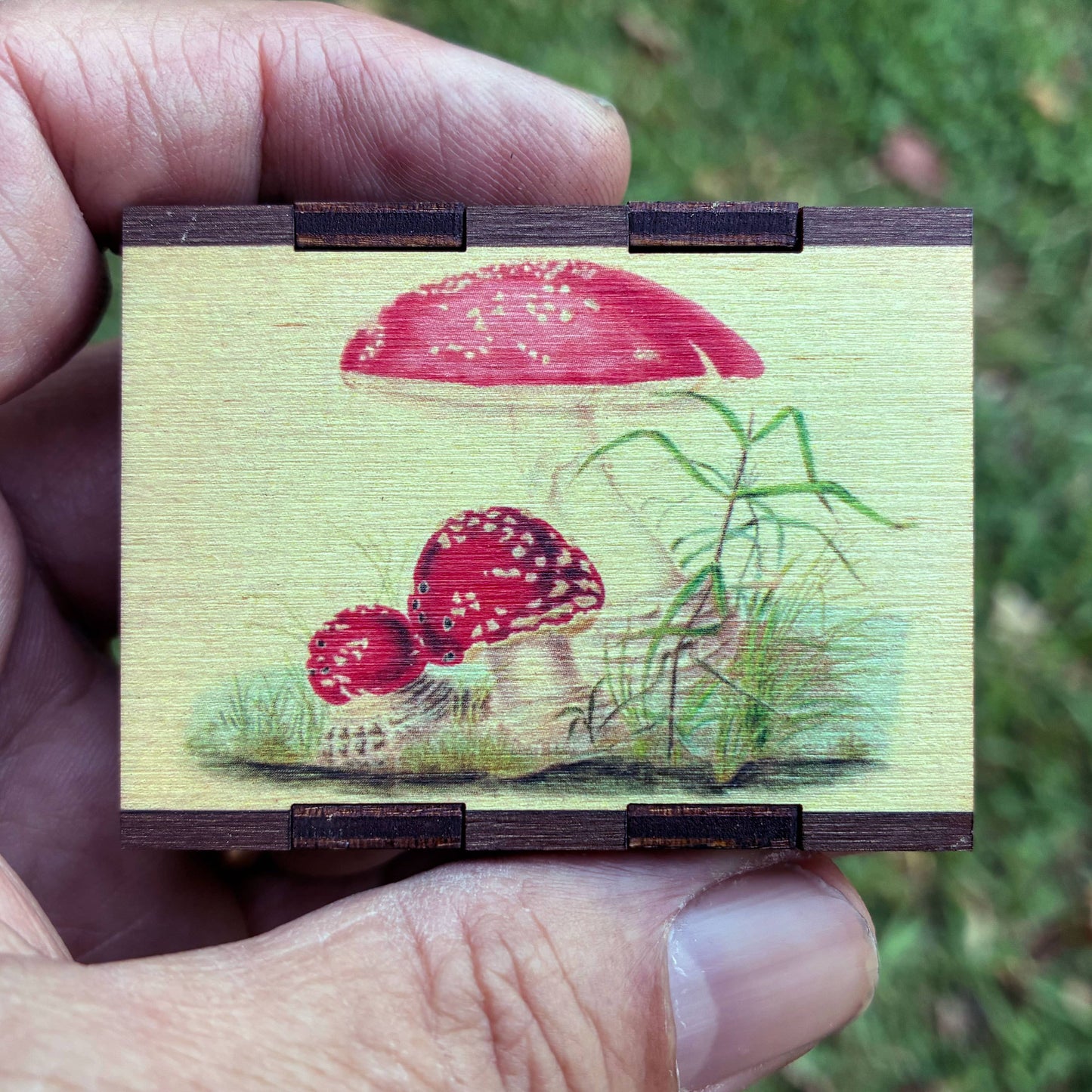 Matches • Mushroom Toadstool Wooden Matchbox • Home Decor