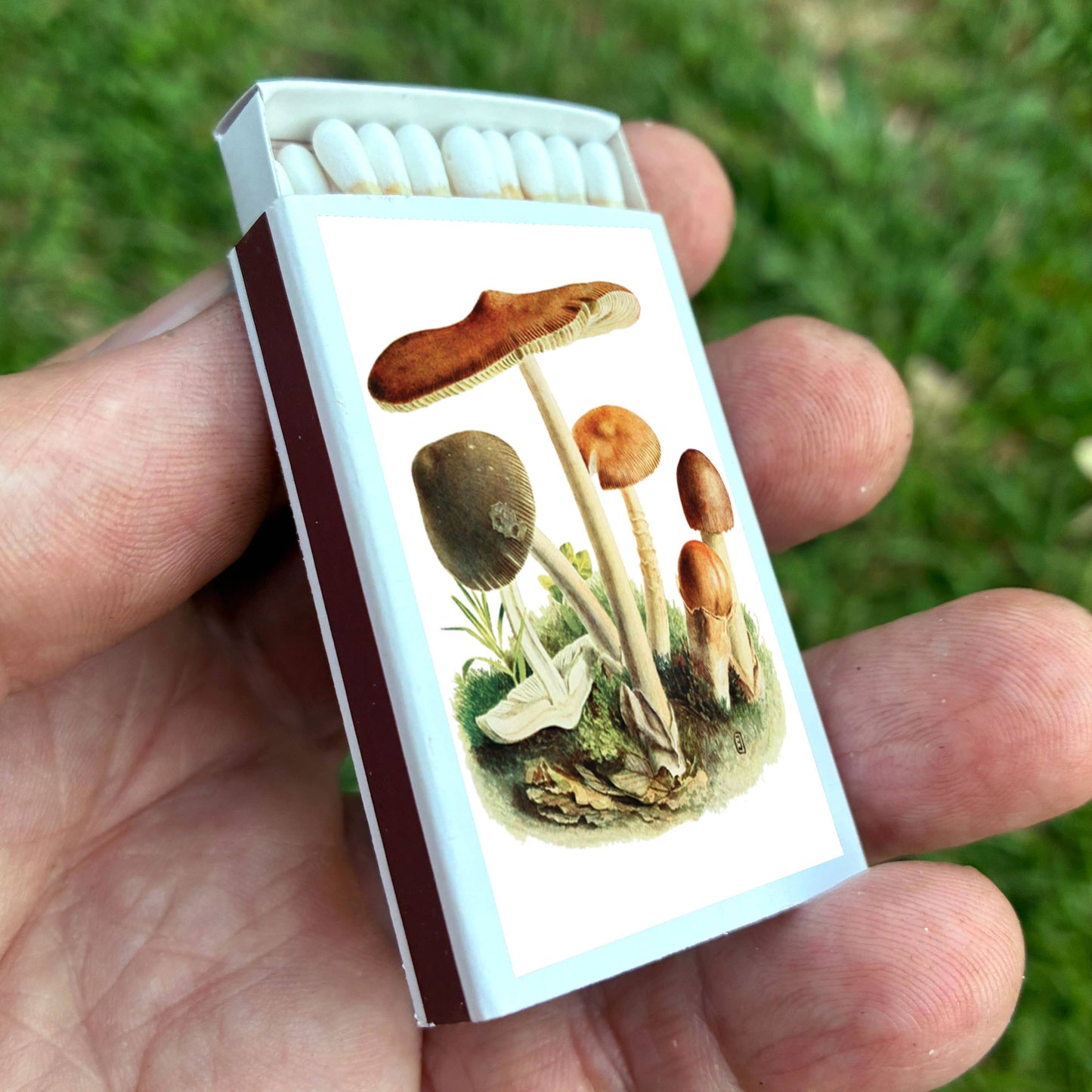 Matches • Tawny Mushroom • Home Decor for Candles & Incense