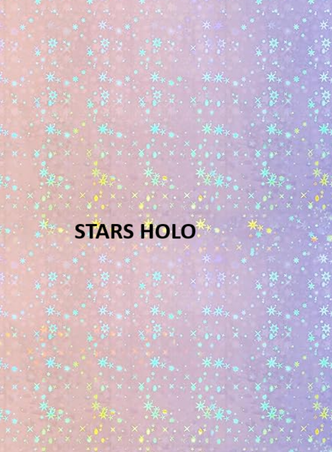 Black Unicorn & Flowers Die Cut Vinyl Sticker: Stars Holo / Loose/unpackaged