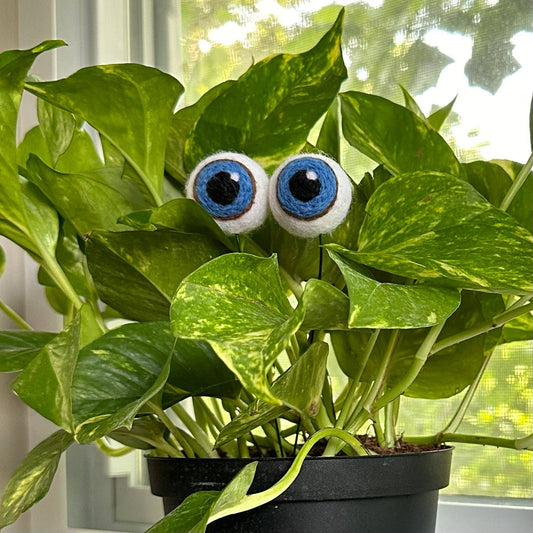 Plant Eyeballs - 100% Wool