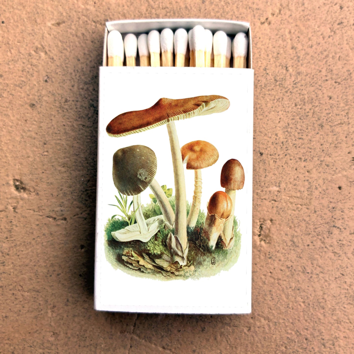 Matches • Tawny Mushroom • Home Decor for Candles & Incense