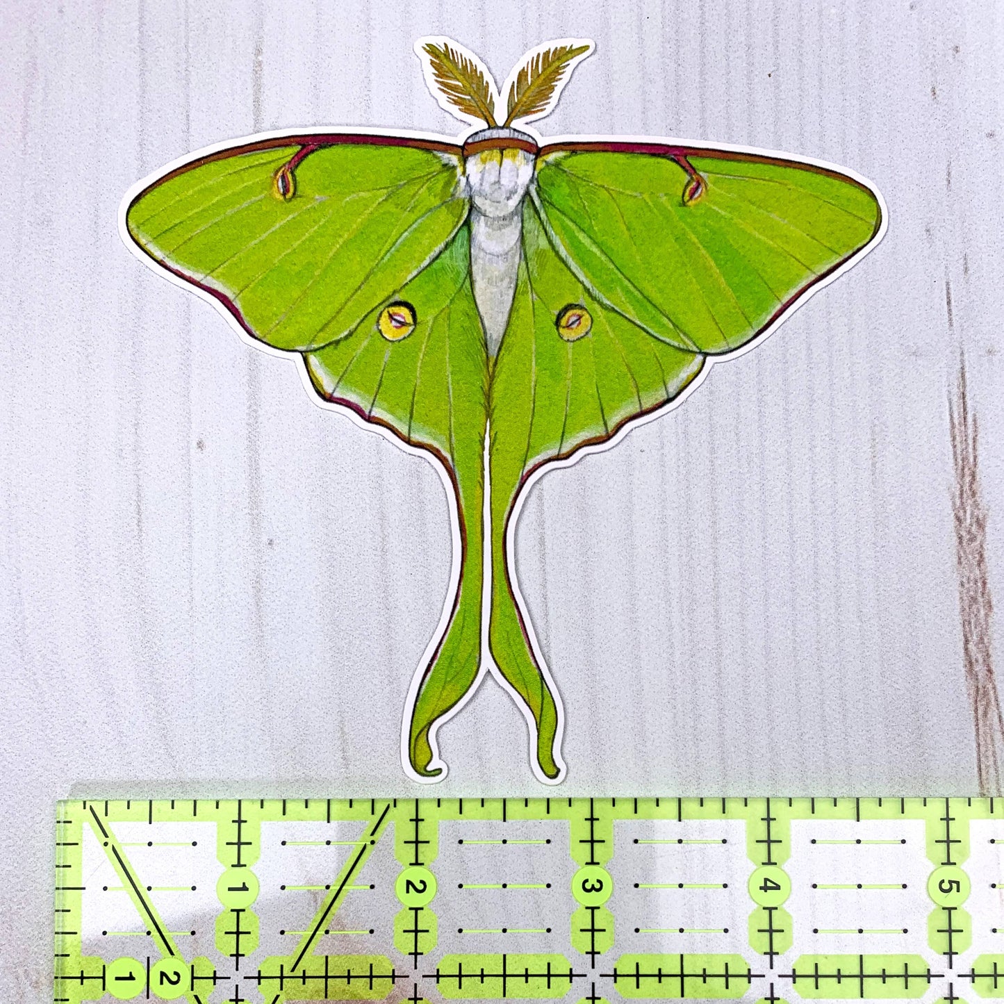 Luna Moth Matte Vinyl Sticker