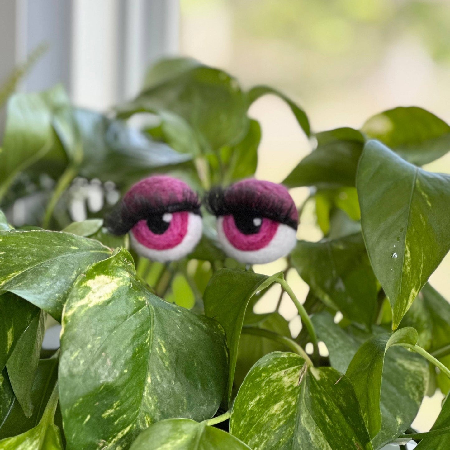 Felt Planter Eyeballs with Eyelashes 