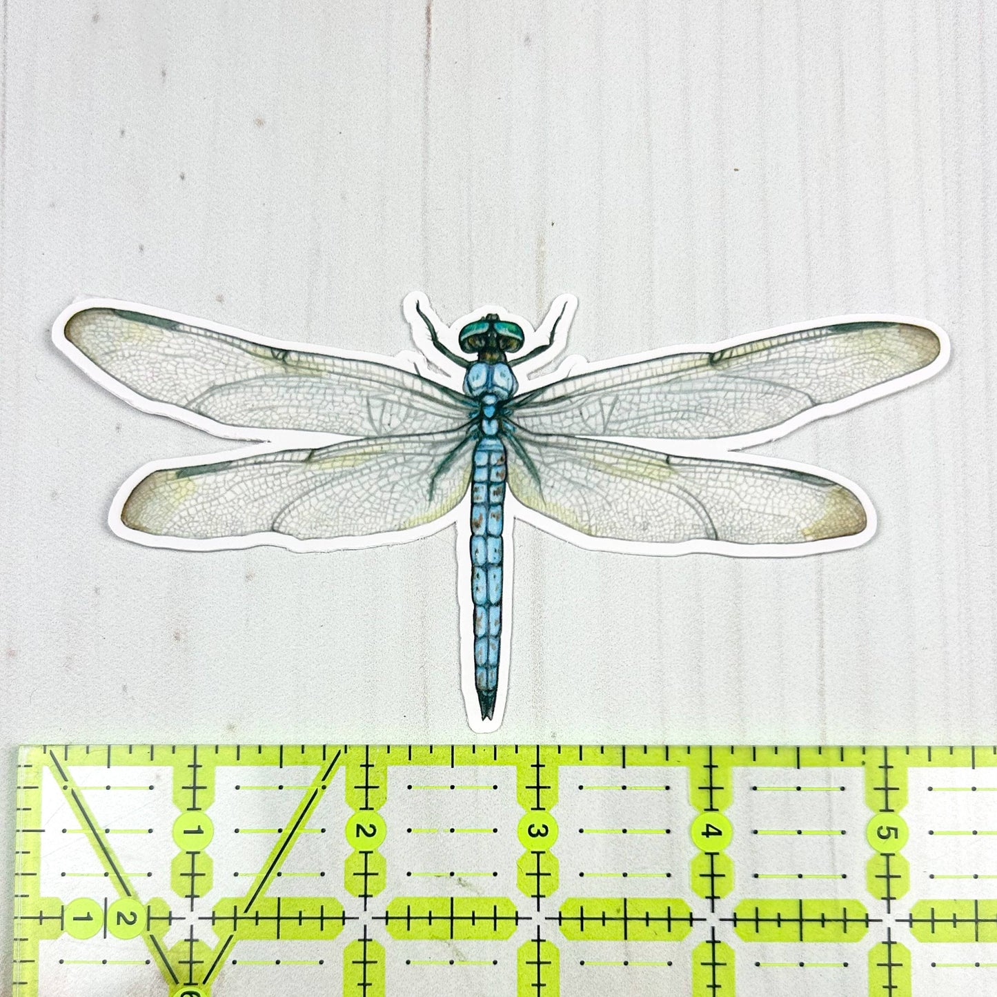 Blue Dasher Dragonfly Matte Vinyl Sticker