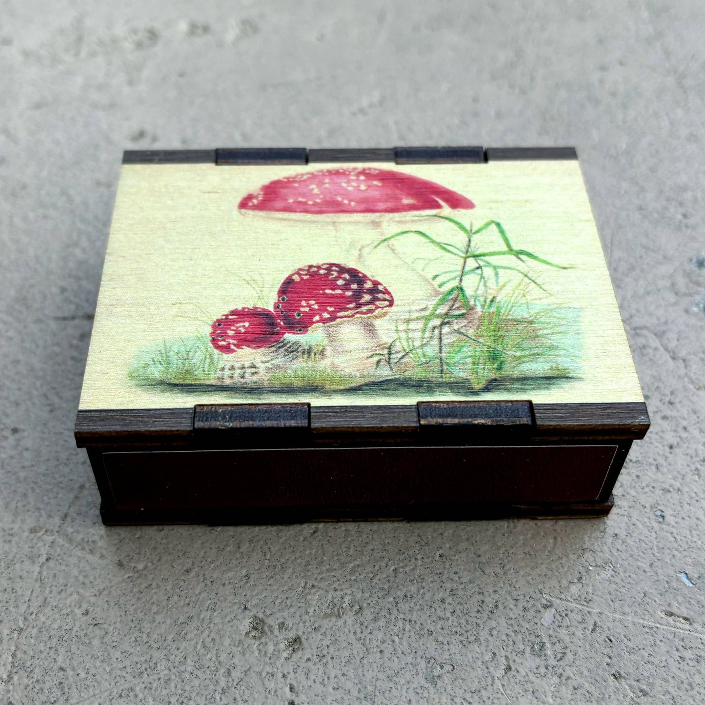 Matches • Mushroom Toadstool Wooden Matchbox • Home Decor
