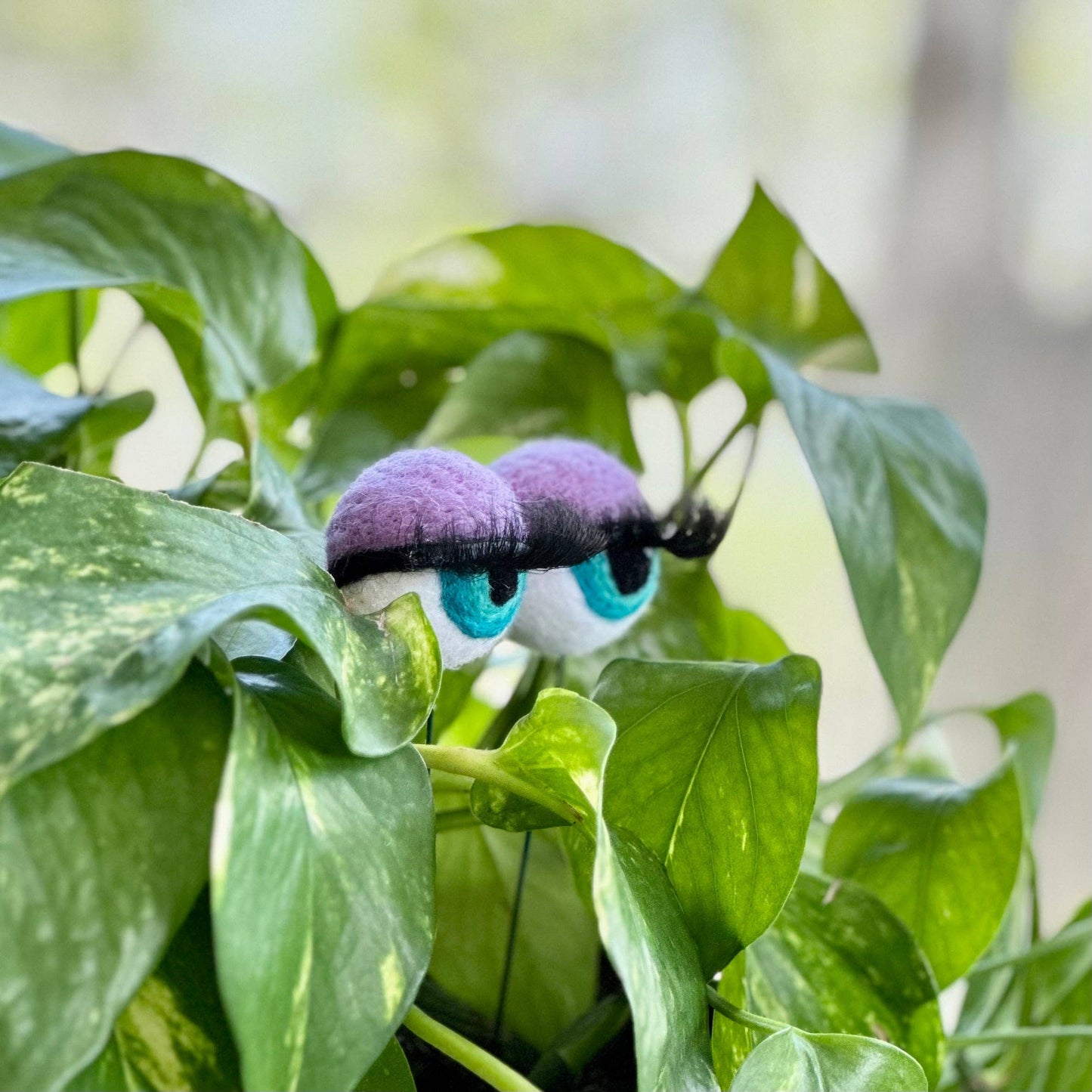 Felt Planter Eyeballs with Eyelashes 