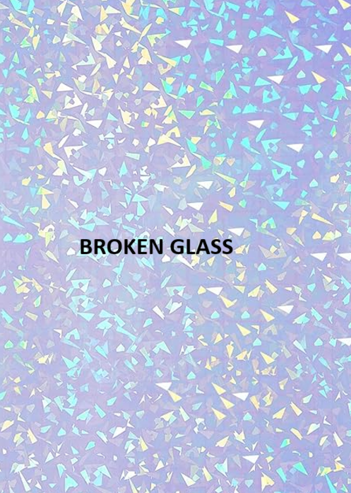 Black Unicorn & Flowers Die Cut Vinyl Sticker: Stars Holo / Loose/unpackaged