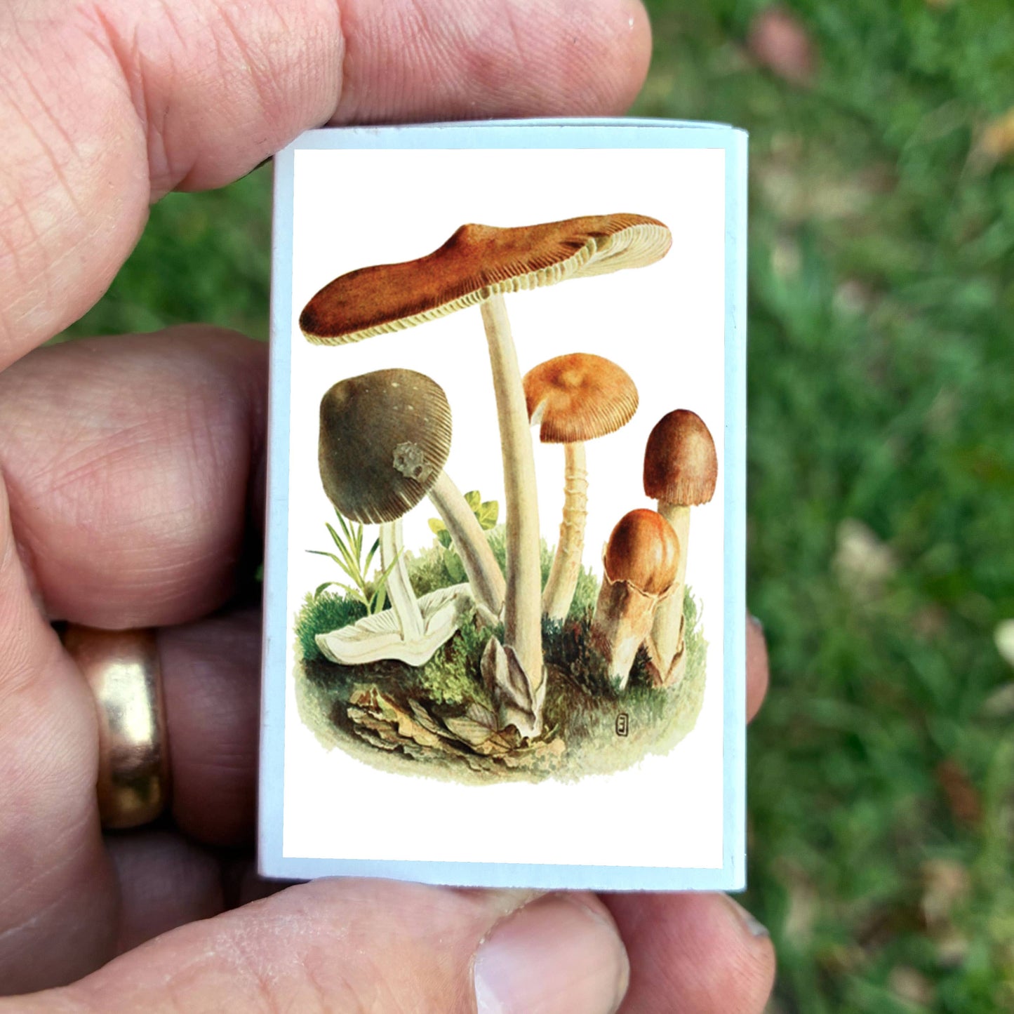 Matches • Tawny Mushroom • Home Decor for Candles & Incense
