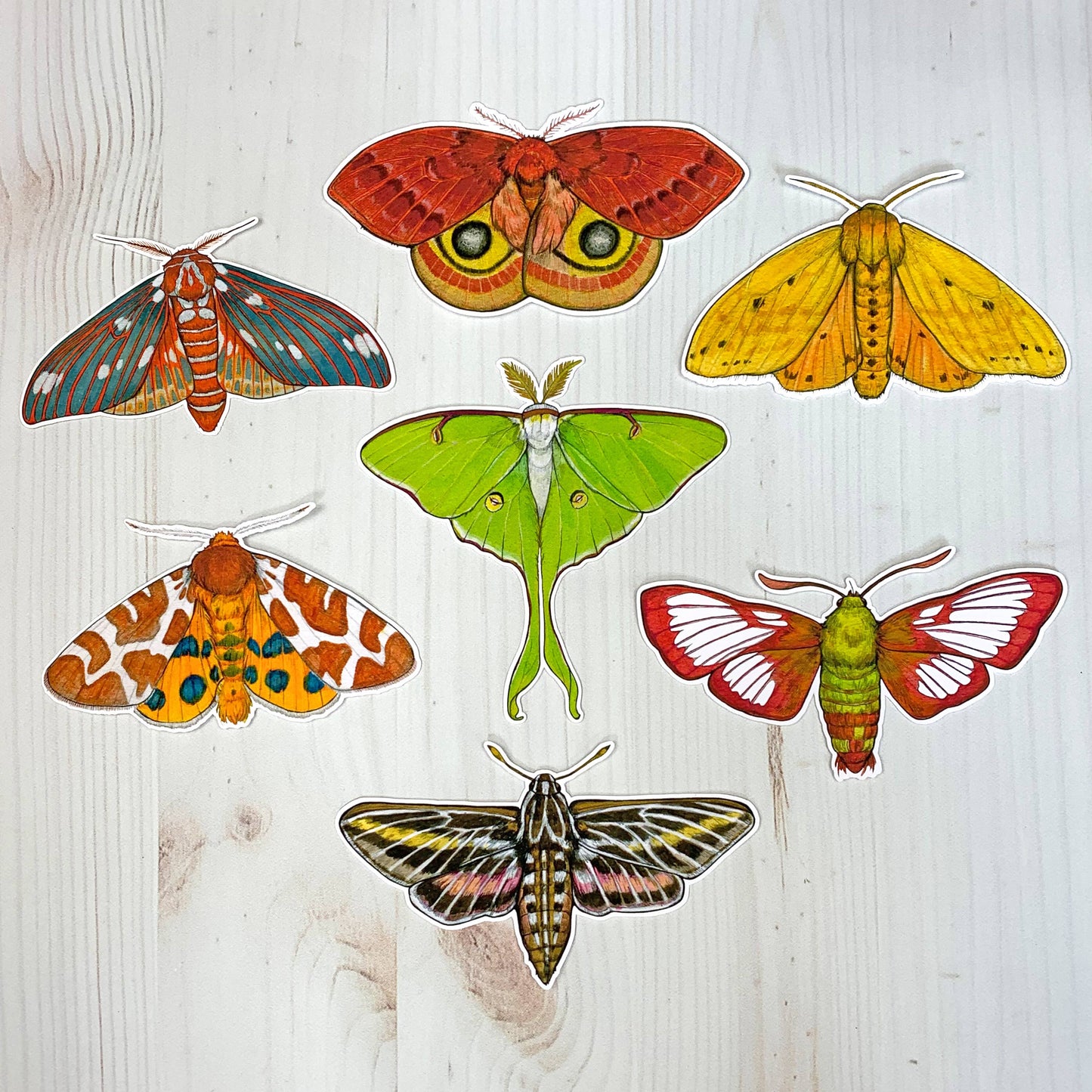 Luna Moth Matte Vinyl Sticker