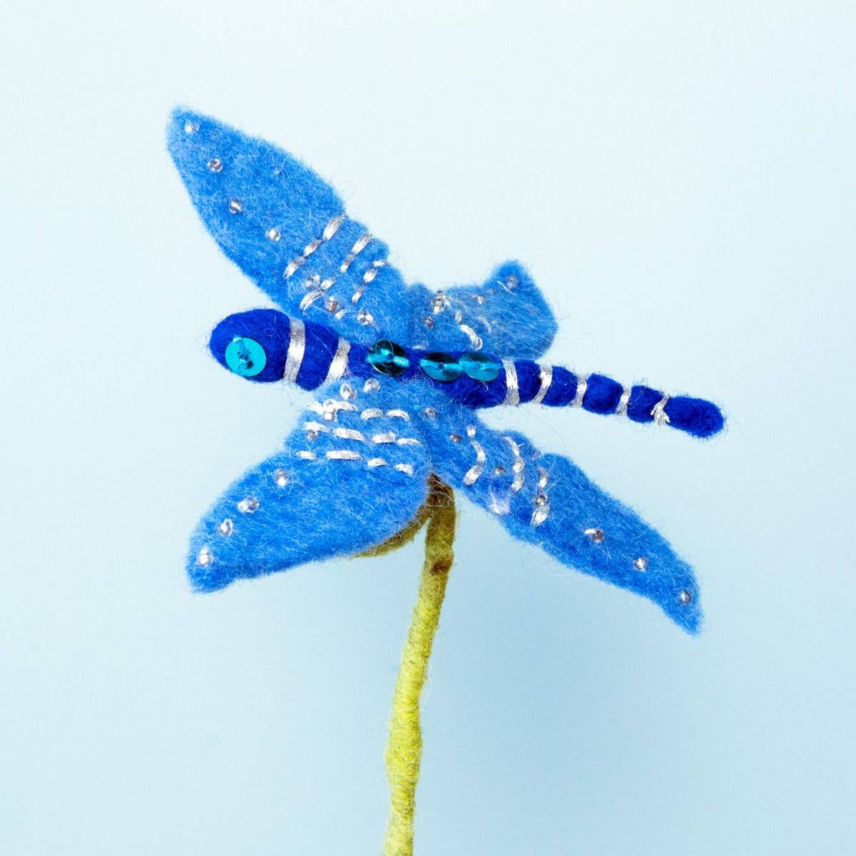 Dragonfly Frond Friend