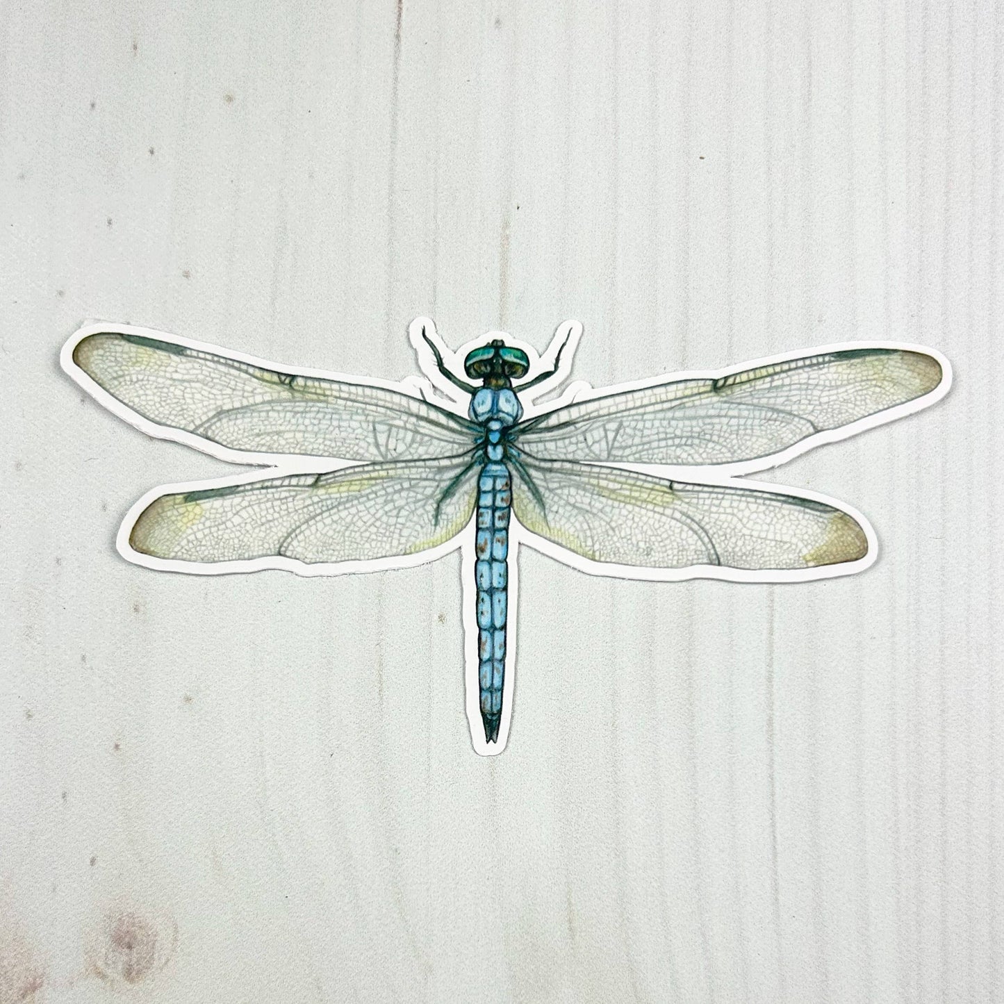 Blue Dasher Dragonfly Matte Vinyl Sticker