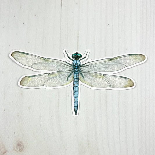 Blue Dasher Dragonfly Matte Vinyl Sticker