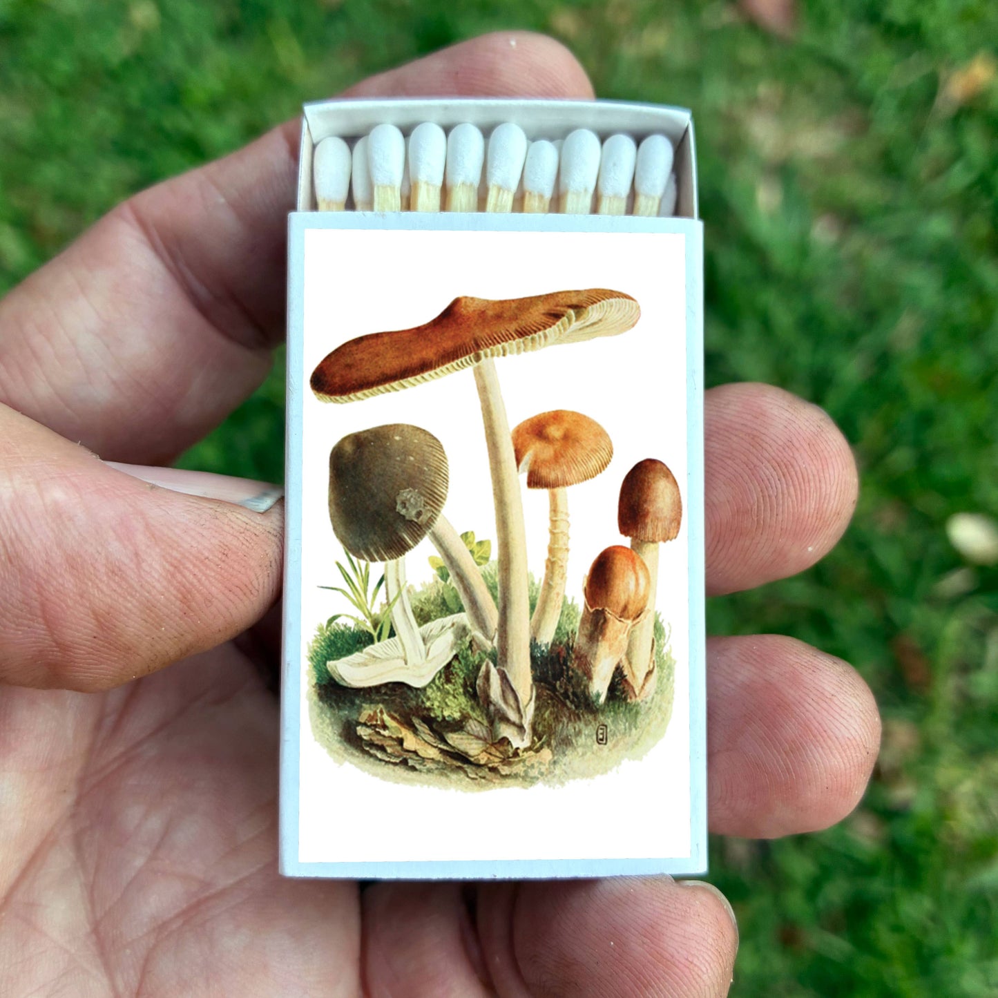 Matches • Tawny Mushroom • Home Decor for Candles & Incense