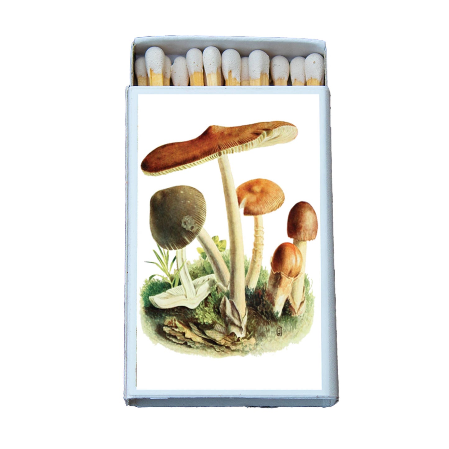 Matches • Tawny Mushroom • Home Decor for Candles & Incense