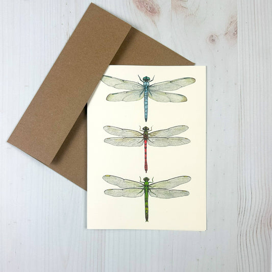 Dragonfly Trio - 5x7 blank notecard