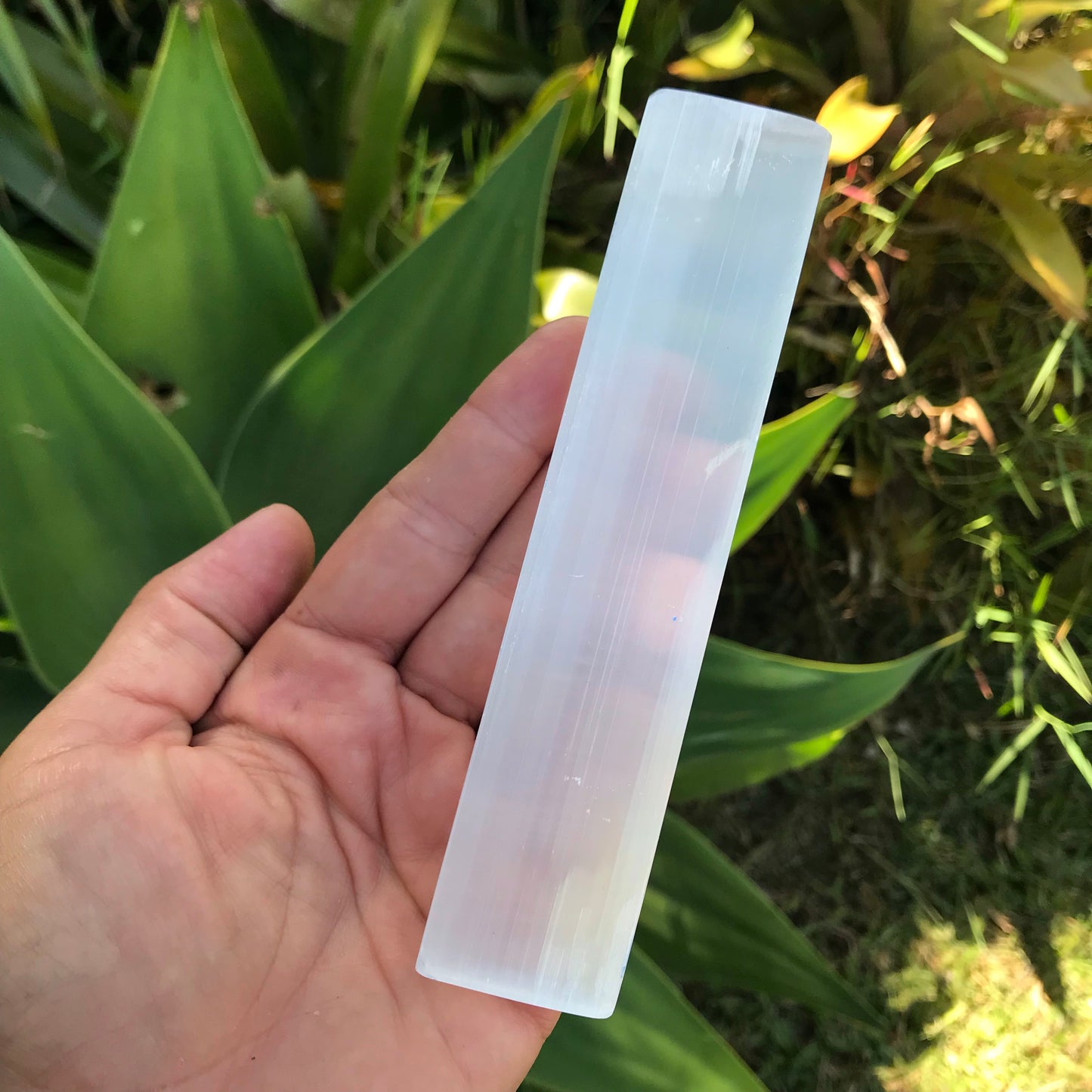 Selenite Wand & Four Tumbled Crystals - Unicorn Square