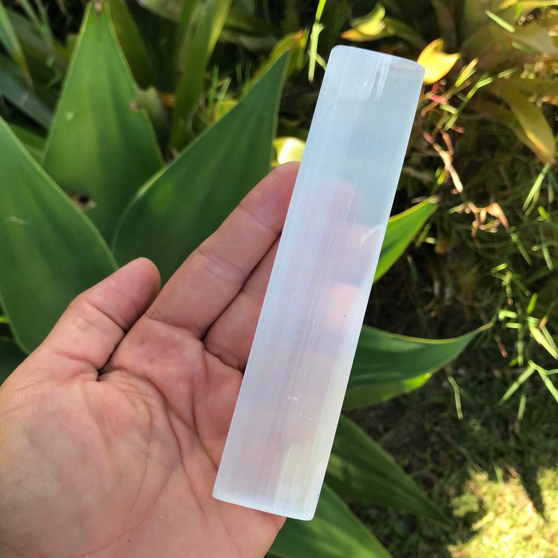 Selenite Wand & Four Tumbled Crystals - Unicorn Square